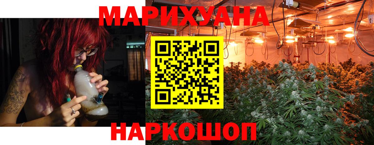 Шишки марихуана сатива Елец